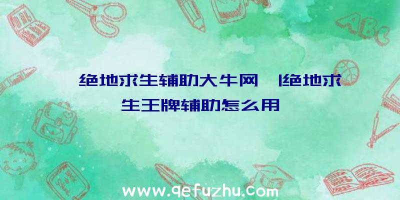 「绝地求生辅助大牛网」|绝地求生王牌辅助怎么用